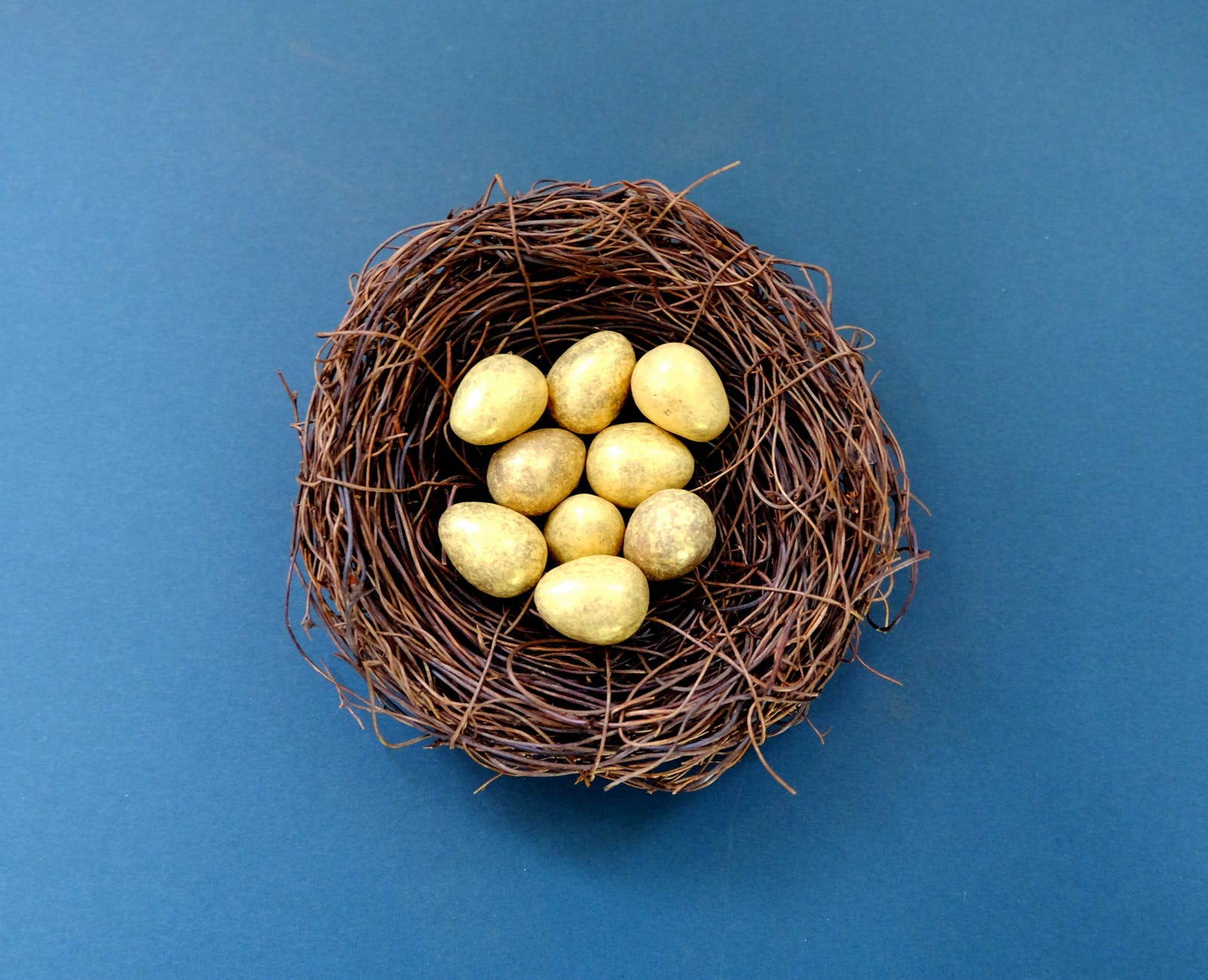 Bird eggs in a basket