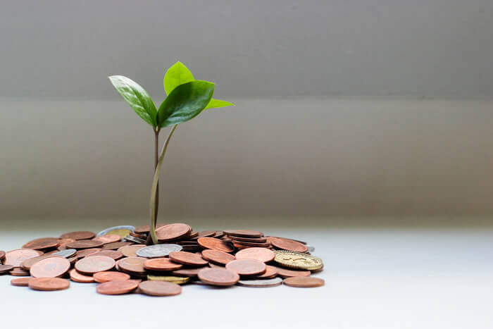 Plant growing from money